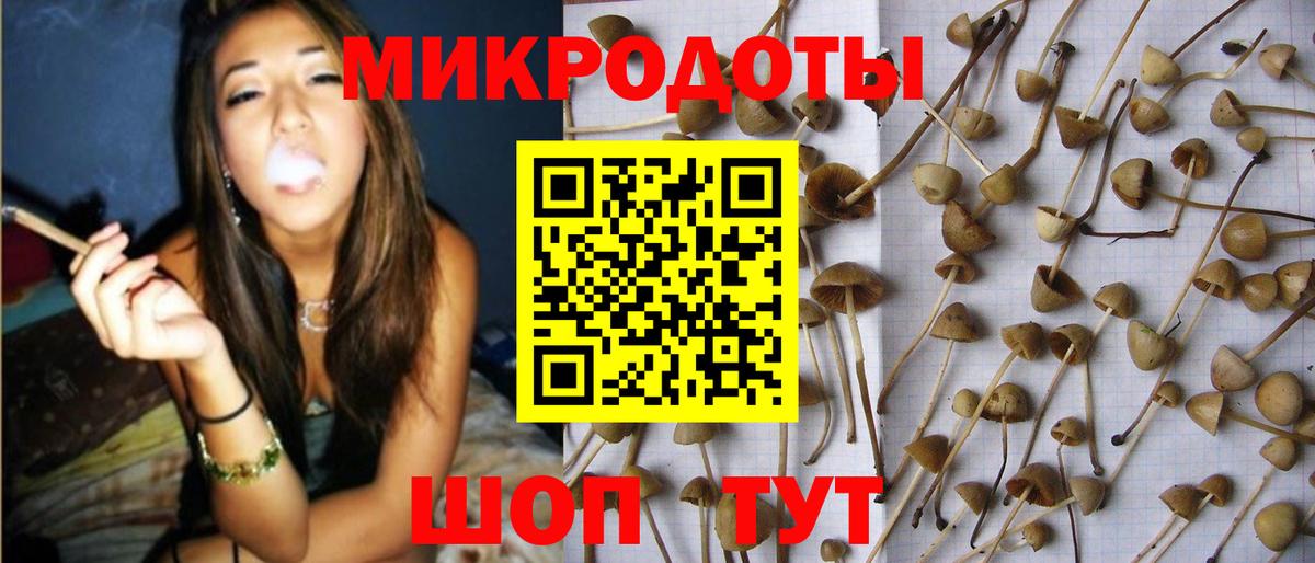 Галлюциногенные грибы Cubensis  Вход с VPN  Протвино 